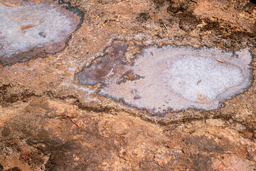 salt crystals on limestone rock, Blue Lagoon, Camino island, Malta