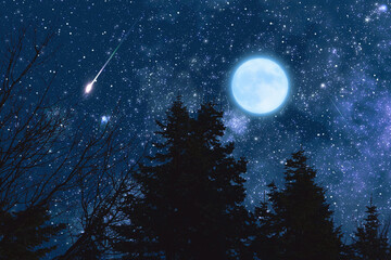 Fototapeta na wymiar Tree silhouettes, stars and Moon on a vivid sky.