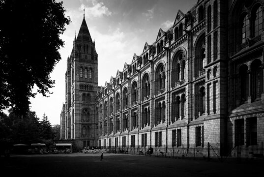 Museum in London, black and white photography
