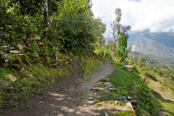 Rural road and green plants in mountains with cloudy sky in Nepal, Annapurna trekking