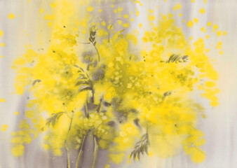 Mimosa flower in the yellow background watercolor