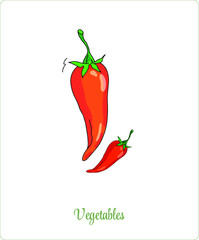 Healthy vegetables. Chili pepper from a set of healthy food. Vector food. Gardening cooking and green hobbies. Transparent separate background.