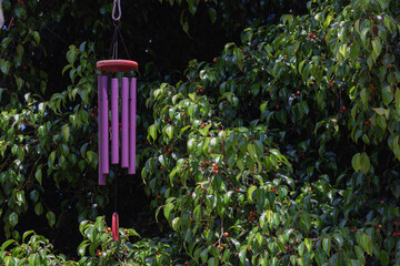 Purple wind chimes in a tree with red berries, calm peaceful, evokes meditation and clarity