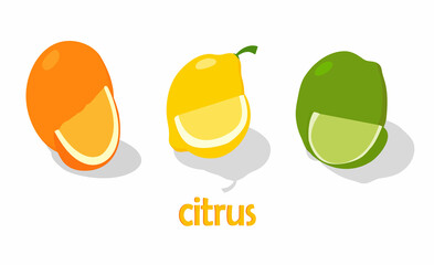 Food, vegetables and fruits. Vector illustration.drawings for a poster, postcard or background.