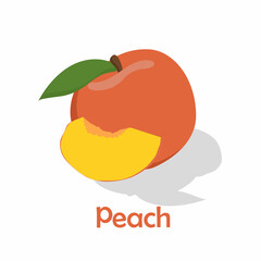 Food, vegetables and fruits. Vector illustration.drawings for a poster, postcard or background.