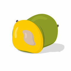 Food, vegetables and fruits. Vector illustration.drawings for a poster, postcard or background.