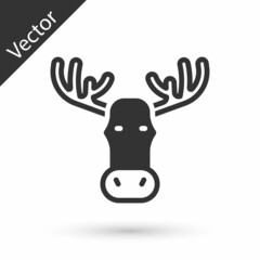 Grey Moose head with horns icon isolated on white background. Vector