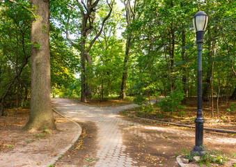 Foot Path, Prospect Park, Brooklyn