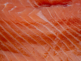 fillet of fresh salmon. fillet of red fish.