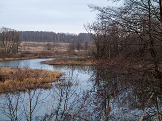 Obraz premium the bank of a small forest river on a cloudy day