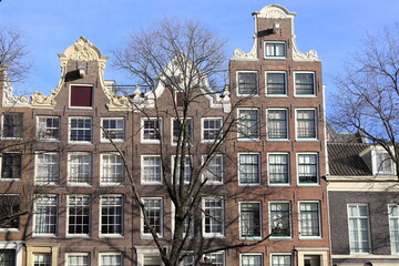 Fototapeta premium Amsterdam Prinsengracht Canal House Facades with Winter Tree and Blue Sky, Netherlands