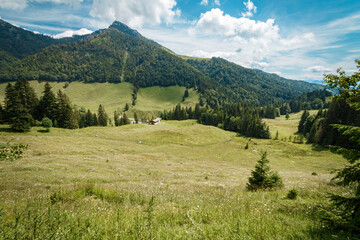 Fototapeta na wymiar View of a mountain with lush grassland