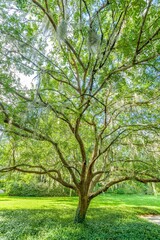 Obraz premium creative