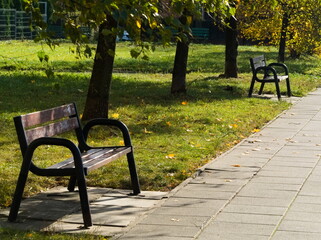 park benches. The park bathed in sunlight. A row of benches, by the sidewalk under the trees in the park.