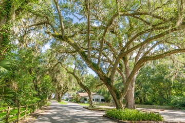 Obraz premium creative