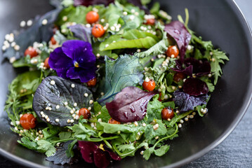 salad from wild herbs