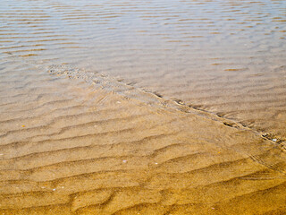 Sand waves under the shallow sea water