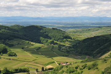 View from the Kaiserstuhl over Schelingen and the Rhine plain to the Vosges