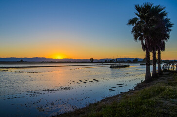 Sol poniéndose en un precioso atardecer en el delta del ebro