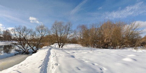 Spring walk through the forest, beautiful panorama.