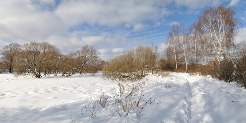 Spring walk through the forest, beautiful panorama.