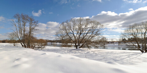 Spring walk through the forest, beautiful panorama.