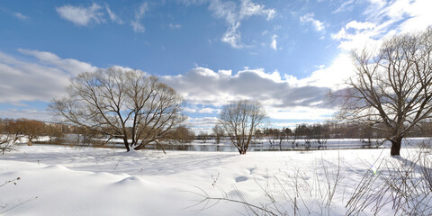 Spring walk through the forest, beautiful panorama.