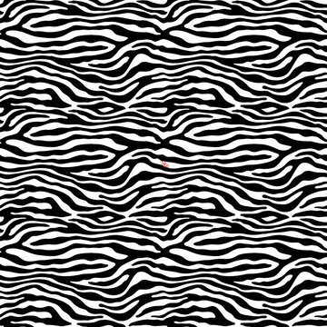 Zebra Skin Pattern