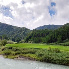 landscape with river