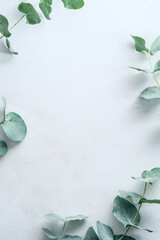 Eucalyptus leaves on stone table. Frame made of eucalyptus plant branches. Flat lay, top view, vertical. © photoguns