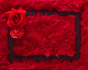 Dark black frame on shaggy soft red fabrics with red roses in the corner with copy space. Flat lay st valentine's day creative concept
