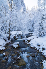 Cascade fast mountain river in the winter snowy forest