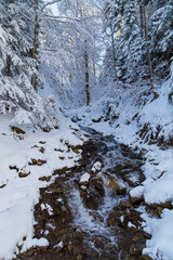 Winter landscape on the river. Fast mountain river in a snowy forest