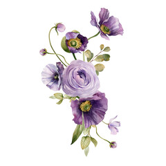 Watercolor flowers garden bouquet. Hand painted botanical illustration with purple flowers and foliage isolated on white background. Floral composition for you design