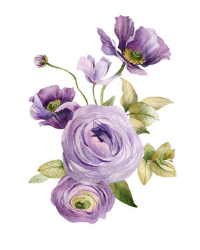 Watercolor flowers garden bouquet. Hand painted botanical illustration with purple flowers and foliage isolated on white background. Floral composition for you design
