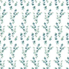 Fototapeta na wymiar Floral background, seamless pattern with eucalyptus branches. Botanical illustration hand drawn in watercolor. Image for wallpaper, wrapping paper, textile.