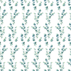 Floral background, seamless pattern with eucalyptus branches. Botanical illustration hand drawn in watercolor. Image for wallpaper, wrapping paper, textile.