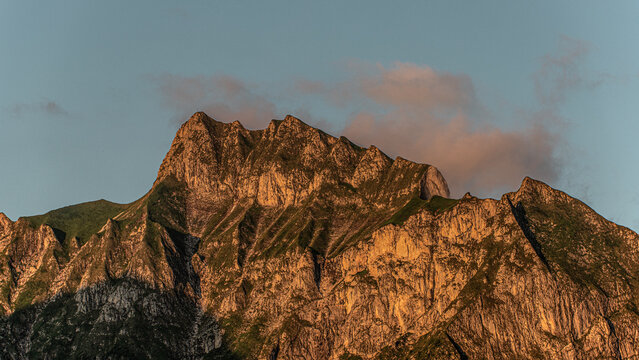 Der Schneck im Abendlicht