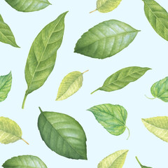 Seamless pattern with green watercolor leaves. Textile fabric, wrapping paper backdrop layout.