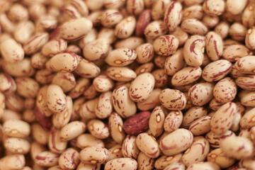The background of white raw beans. Natural legume protein