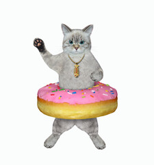 An ashen cat put a pink donut on his waist. White background. Isolated.