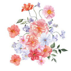 Watercolor spring compositions with flowers, delicate bouquet, isolated on white background