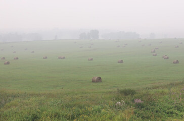 Fototapeta na wymiar hay fields with fog