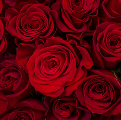 bouquet of red roses. Valentine day. Gift. Mother day. 