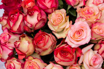 Obraz na płótnie Canvas bouquet of roses. Background. Rose. 