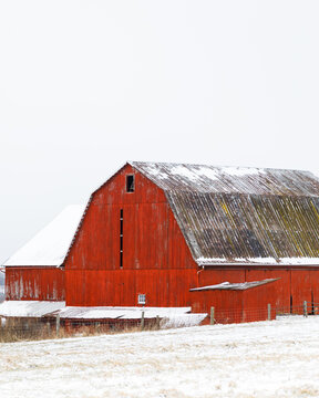 Red Barn in the Winter in the Snow | Holmes County, Ohio