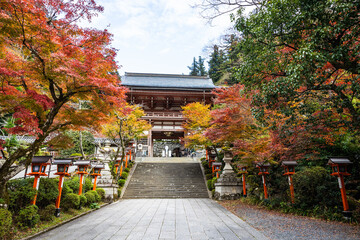 A lantern lined path with stairs leading up the the Kurama-dere Temple north of Kyoto, Japan on a fall morning.