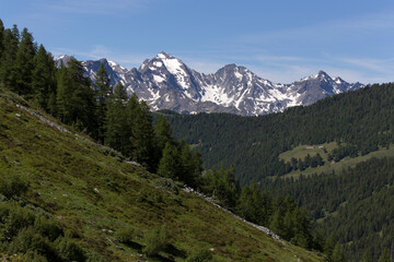 Fototapeta na wymiar Mountain landscape in valle d'Aosta during summer
