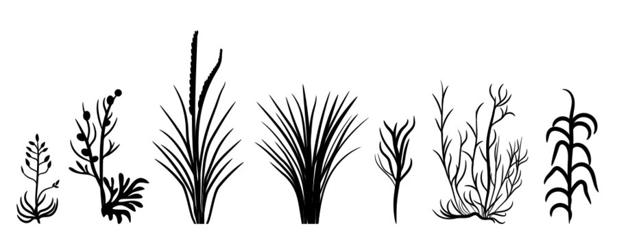 grass and reeds silhouettes vecor svg illustration