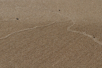 Beach sands with water made textures